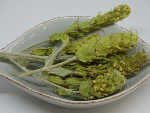 Griechischer Bergtee